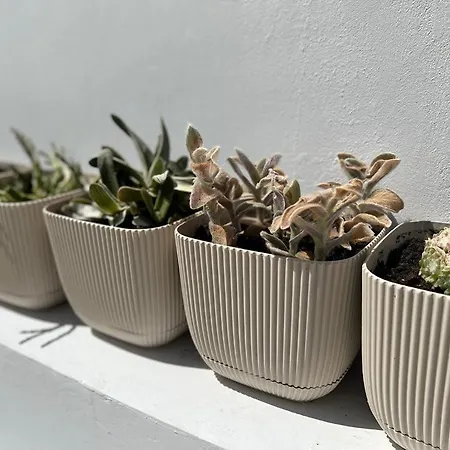 Διαμέρισμα Cozy And Traditional - Ec *